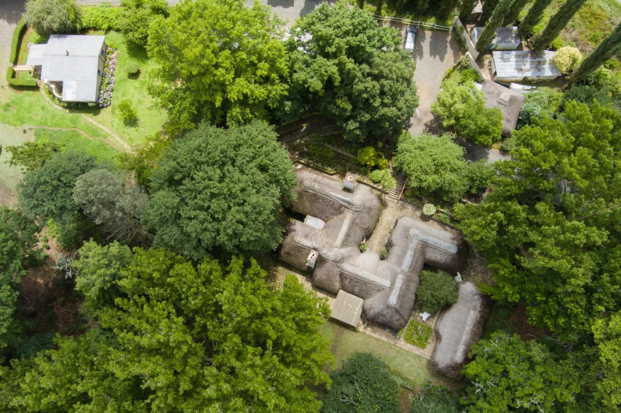 RosettaWaterford Manor住宿加早餐旅馆 外观 照片