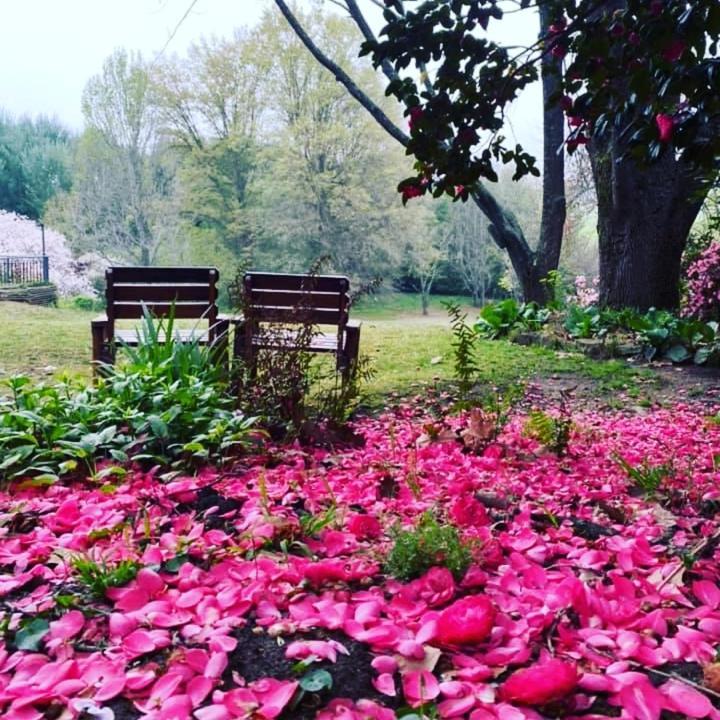 RosettaWaterford Manor住宿加早餐旅馆 外观 照片
